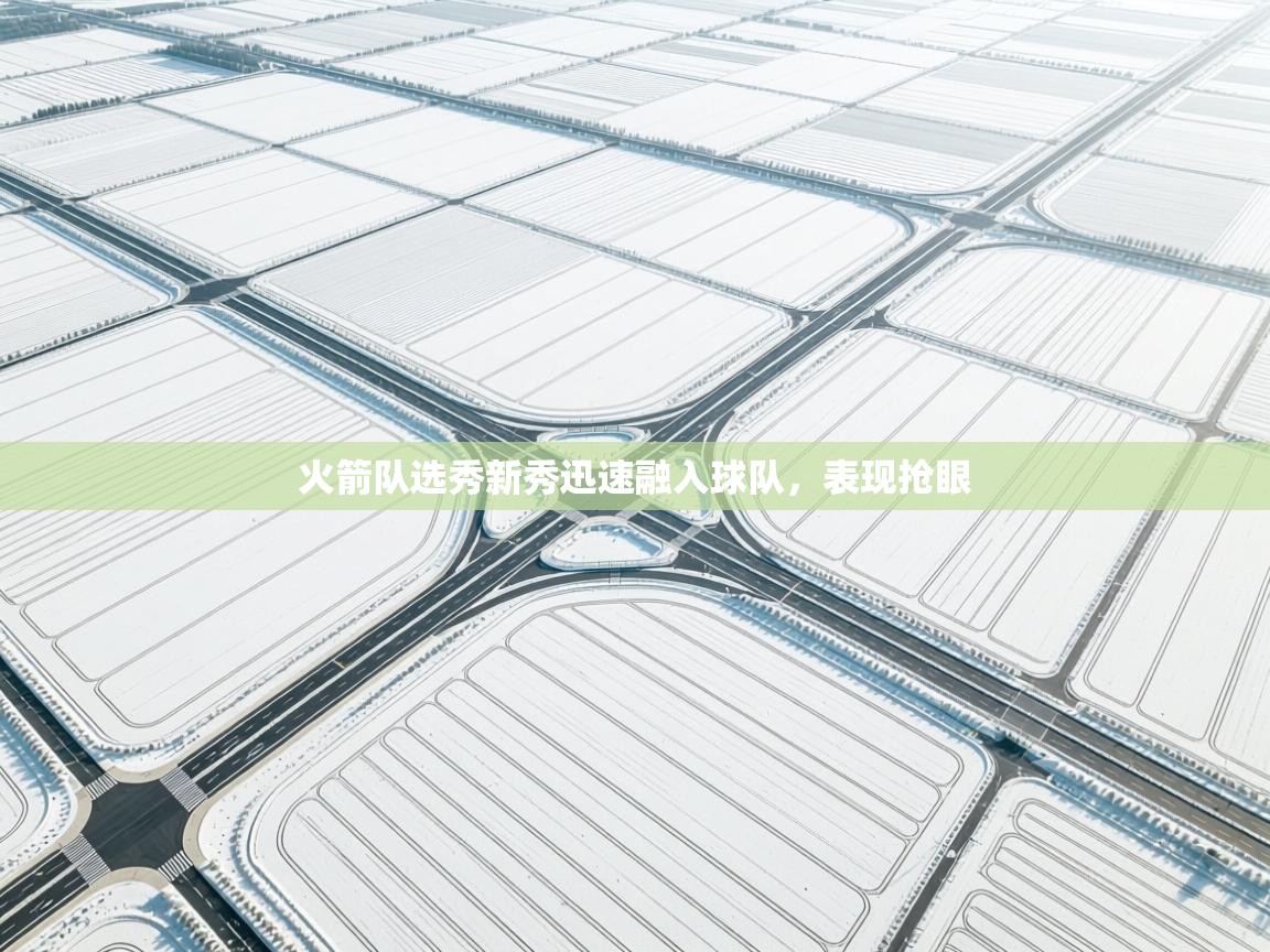 火箭队选秀新秀迅速融入球队，表现抢眼  第1张