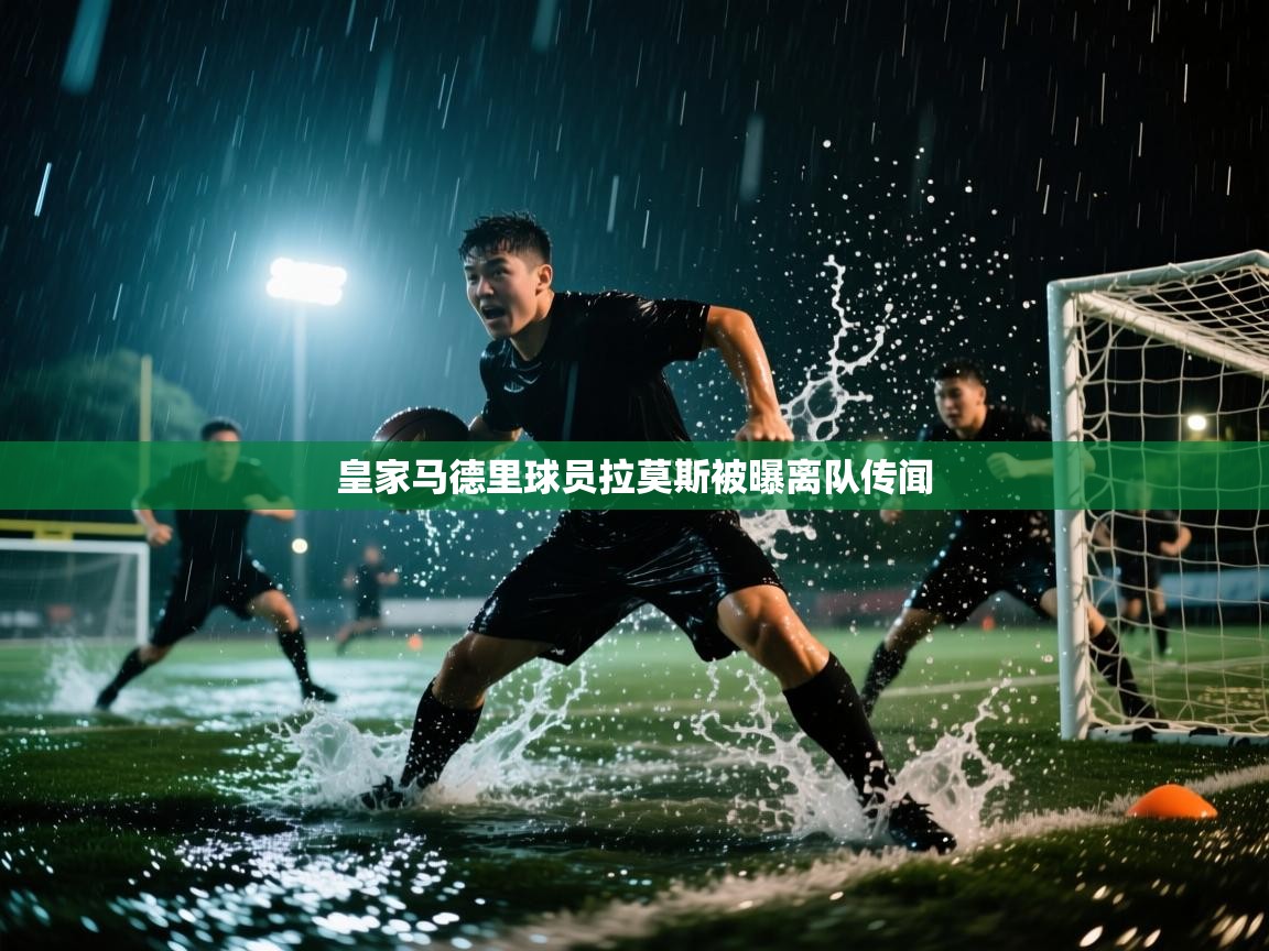 皇家马德里球员拉莫斯被曝离队传闻  第1张