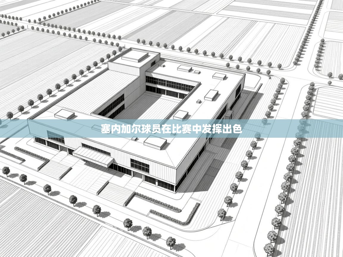 塞内加尔球员在比赛中发挥出色
