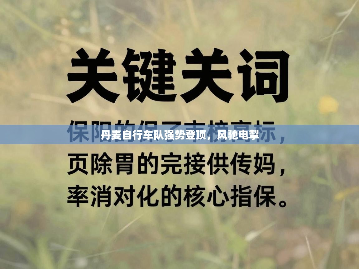 丹麦自行车队强势登顶，风驰电掣  第2张