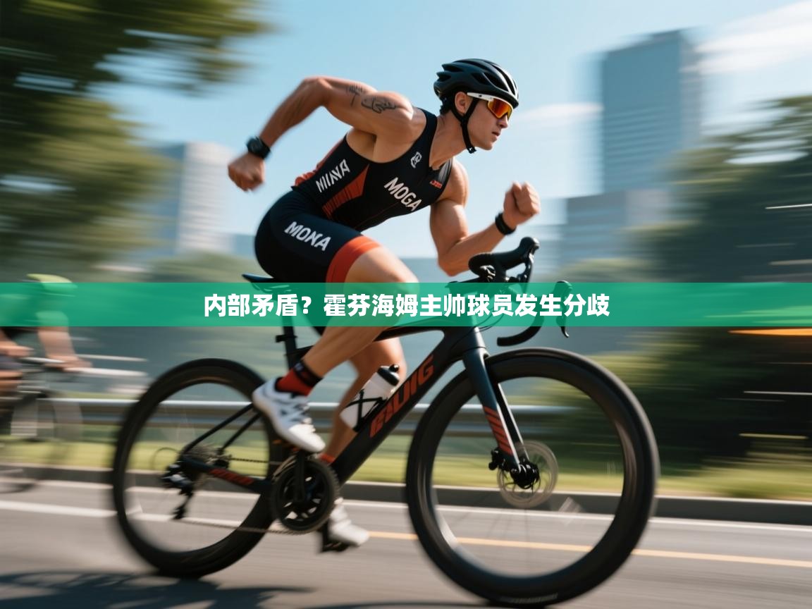 内部矛盾？霍芬海姆主帅球员发生分歧  第1张