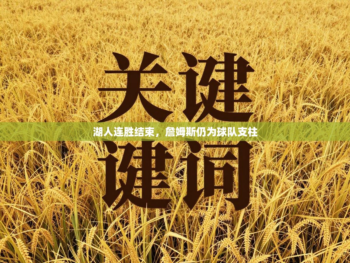 湖人连胜结束，詹姆斯仍为球队支柱  第1张